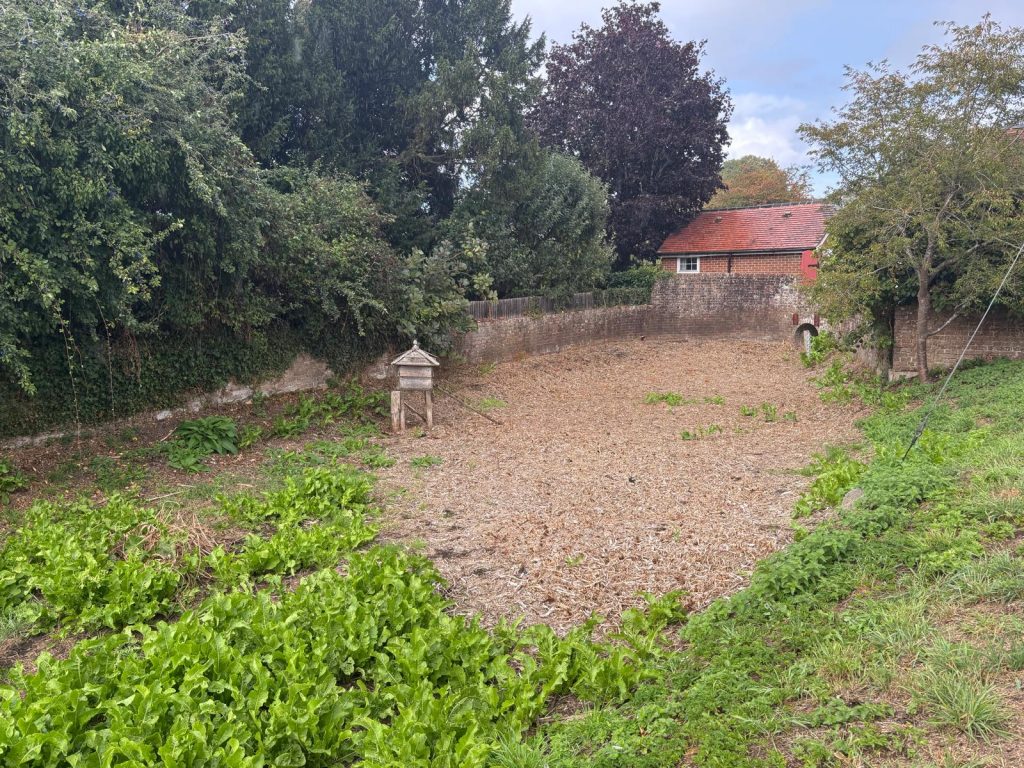 Crondall Village Pond and the source of the River Hart is still dried up despite the recent rain fall.