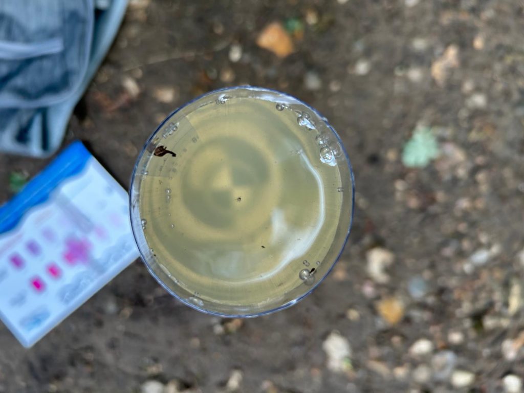 The water sample is poured into a tube to a depth where a cross at the base of the tube is screened. The height of the water is a measure of turbidity